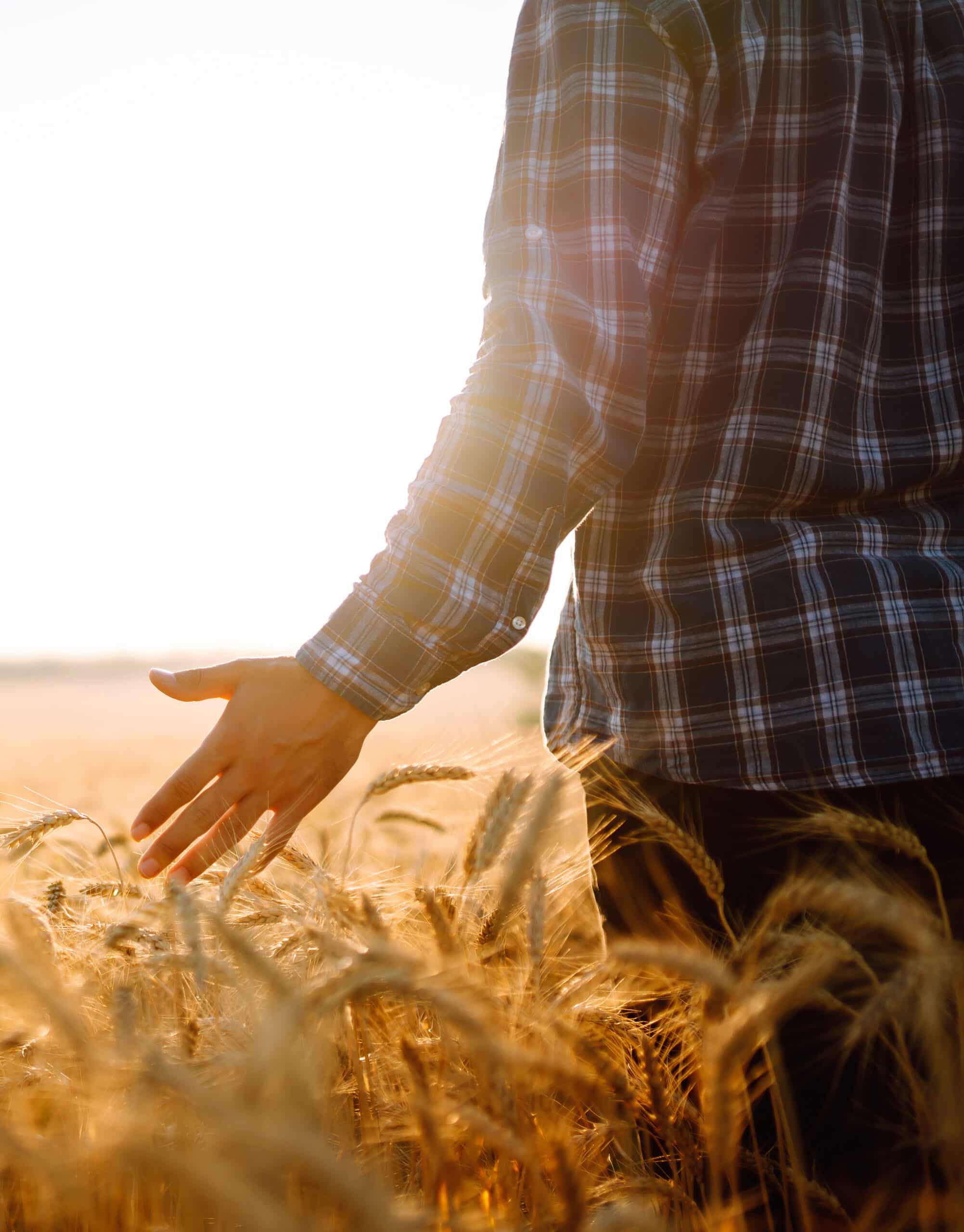 formation agricole