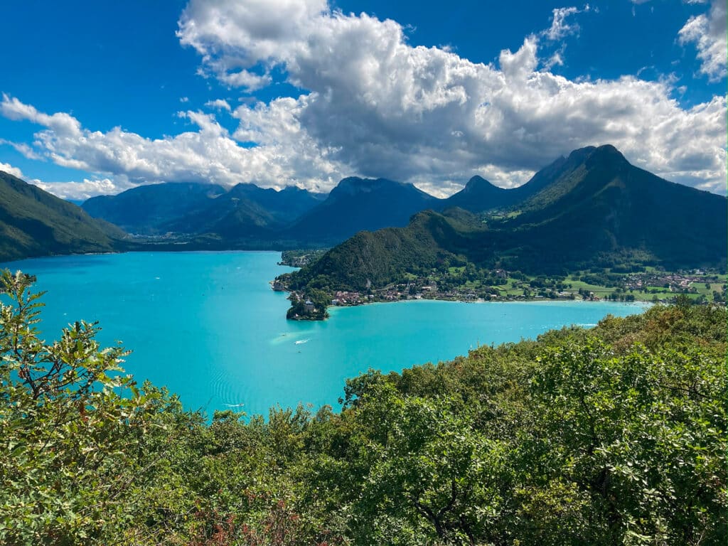 Licence ecologie annecy