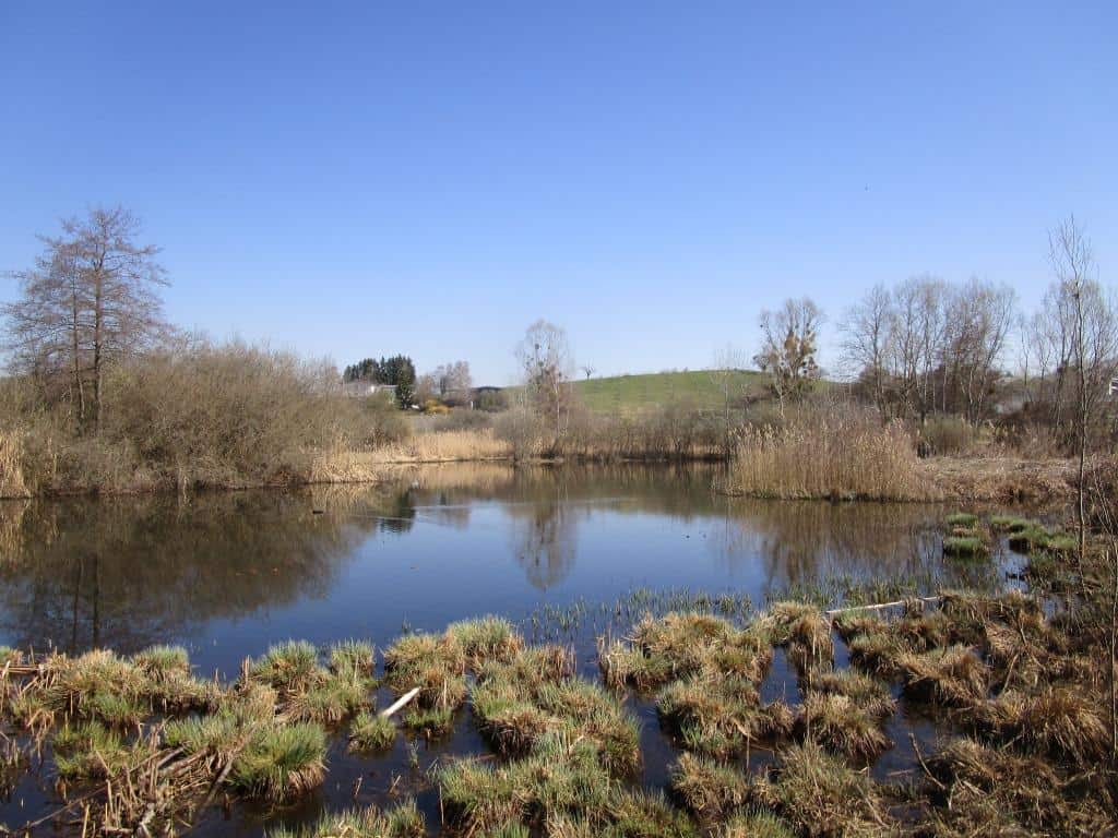 Marais de Poisy