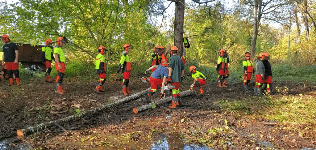 Terminales GMNF au marais de Marigny