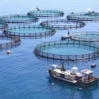BTSA Aquaculture